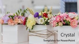  Presentation with colorful flower - Amazing slide deck having flower market bright vivid colorful backdrop and a light gray colored foreground