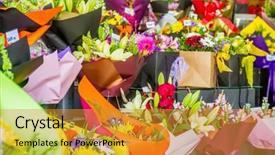  Presentation with flower pots - Slide set with flower market miscellaneous colored flowers background and a  colored foreground