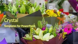  Presentation with flower pots - Presentation design featuring flower market miscellaneous colored flowers background and a  colored foreground