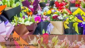  Presentation with flower pots - Cool new PPT theme with flower market miscellaneous colored flowers backdrop and a  colored foreground