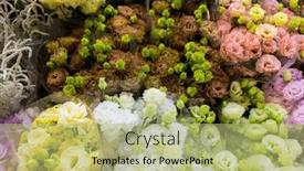  Presentation with market - Presentation theme featuring flower-market-stall-with-fresh and a mint green colored foreground