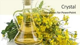  Presentation with brassica flower - PPT theme with brassica - flower of a mustard rape background and a blonde colored foreground