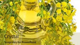  Presentation with rapeseed oil - Cool new slides with flower of a rapeseed rape backdrop and a gold colored foreground