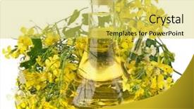  Presentation with rapeseed oil - Theme with flower of a rapeseed rape background and a yellow colored foreground