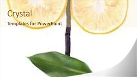  Presentation with vanilla - Beautiful presentation featuring flower of dried slices of lemon with vanilla beans isolated on white backdrop and a cream colored foreground