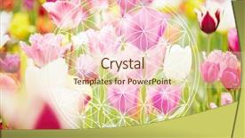  Presentation with life - Slide set consisting of flower of life as new background and a lemonade colored foreground