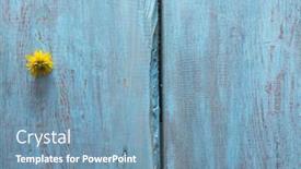  Presentation with blue flower - Slide deck consisting of flower on old blue wooden bacground background and a seafoam green colored foreground