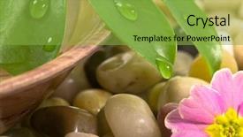  Presentation with chemistry leaves green leaf - Amazing presentation theme having flower on pebbles and greeen backdrop and a  colored foreground