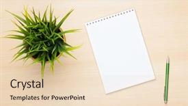  Presentation with notepad - Cool new presentation design with flower on wooden table backdrop and a lemonade colored foreground