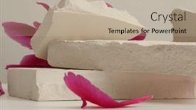  Presentation with minimal - PPT theme featuring flower-petal-and-empty-stones background and a mint green colored foreground