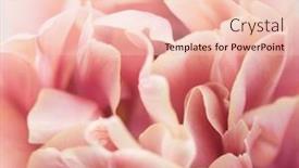  Presentation with watercolor soft pastel - PPT layouts consisting of flower-petals-close-up-soft and a lemonade colored foreground