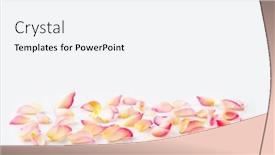  Presentation with mothers day - Presentation design with flower-petals-close-up background and a white colored foreground