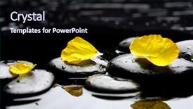  Presentation with pink petal flower animated - Colorful PPT layouts enhanced with flower petals on pebbles reflection backdrop and a wine colored foreground