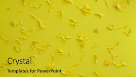  Presentation with pink petal flower animated - Beautiful PPT layouts featuring flower petals on the yellow backdrop and a  colored foreground