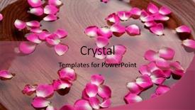  Presentation with water well - Slides featuring flower petals on water background and a coral colored foreground