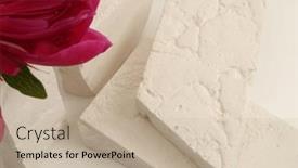  Presentation with minimal - Slides having flower-pink-petal-and-empty background and a mint green colored foreground