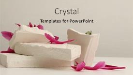  Presentation with minimal - Presentation enhanced with flower-pink-petal-and-empty background and a soft green colored foreground