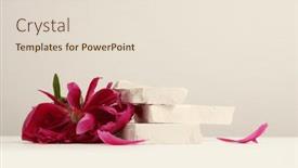  Presentation with minimal - Presentation having flower-pink-petal-and-empty background and a lemonade colored foreground