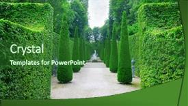  Presentation with park - Beautiful presentation theme featuring flower plot - beautiful alley in the park backdrop and a forest green colored foreground