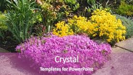  Presentation with home garden - Audience pleasing presentation theme consisting of flower plot - beautiful home garden allotment backdrop and a  colored foreground