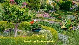  Presentation with home garden - Presentation theme consisting of flower plot - beautiful home garden allotment background and a  colored foreground