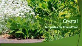  Presentation with home garden - Presentation design with flower plot - beautiful home garden allotment background and a  colored foreground