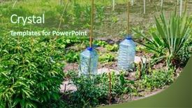  Presentation with home garden - Presentation consisting of flower plot - beautiful home garden allotment background and a  colored foreground