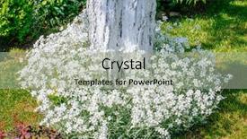  Presentation with home garden - Cool new PPT theme with flower plot - beautiful home garden allotment backdrop and a  colored foreground