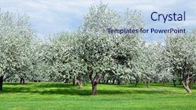  Presentation with apple - Amazing slide set having flower plot - blooming apple trees garden backdrop and a sky blue colored foreground