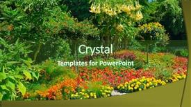  Presentation with summer trees - Slide deck featuring flower plot - colorful blooming flowerbed and trees background and a tawny brown colored foreground