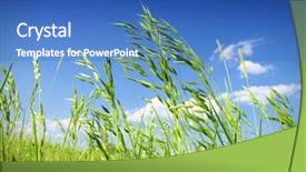  Presentation with grass - Theme having young pretty woman with towel on head applying lotion on face in front of mirror in bathroom beauty and skin care concept background and a coral colored foreground