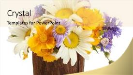  Presentation with flowers on white wooden - Slides having flower pot - beautiful bouquet of bright wildflowers background and a blonde colored foreground