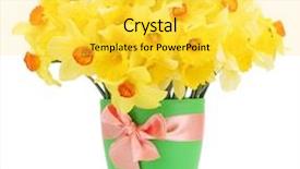  Presentation with yellow - Cool new theme with flower pot - beautiful yellow daffodils in flowerpot backdrop and a yellow colored foreground