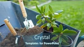  Presentation with gardening - Presentation enhanced with flower-pot-and-set-gardening background and a ocean colored foreground