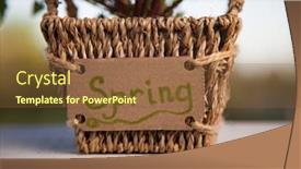  Presentation with spring - Beautiful presentation design featuring flower-pot-holding-a-spring backdrop and a tawny brown colored foreground