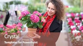  Presentation with flower woman - Presentation theme with flower pot with red hydrangea background and a coral colored foreground