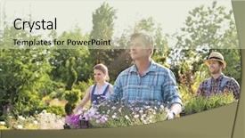  Presentation with nursery plant - Cool new PPT layouts with flower pots at plant backdrop and a soft green colored foreground