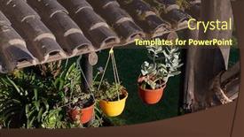  Presentation with flower pots - Cool new presentation theme with flower-pots-hanging-under backdrop and a tawny brown colored foreground