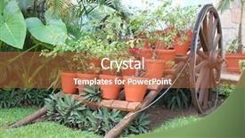  Presentation with flower pots - PPT theme having garden cartoon - flower pots on cart background and a coral colored foreground