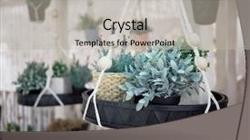  Presentation with flower pots - Theme featuring flower pots on hanging background and a light gray colored foreground