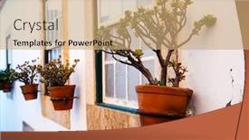  Presentation with flower pots - Audience pleasing slide set consisting of flower-pots-on-the-wall backdrop and a coral colored foreground