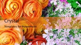  Presentation with reproduction - Amazing slides having flower power - floral cross process photographic reproduction backdrop and a gold colored foreground