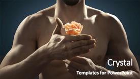  Presentation with rose flower - Audience pleasing slide deck consisting of flower power - muscular man protecting delicate rose backdrop and a tawny brown colored foreground