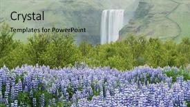  Presentation with lupines - Presentation featuring flower power - skogafoss waterfall iceland europe summer background and a light gray colored foreground
