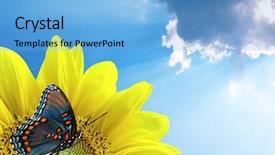  Presentation with summer time - Audience pleasing slides consisting of flower power - summer time backdrop and a light blue colored foreground