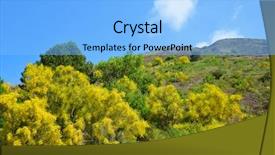  Presentation with yellow - Colorful presentation enhanced with flower power - yellow flowering bushes cytisus scoparius backdrop and a light blue colored foreground