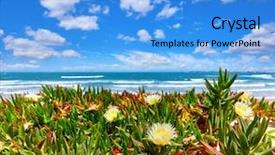  Presentation with sand ocean - Slide deck featuring flower purslane sand sunny summery background and a  colored foreground