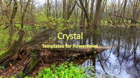  Presentation with brown old fashioned landscape - Slide deck featuring flower rain - landscape with old woods if background and a tawny brown colored foreground