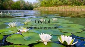  Presentation with lily flower - Beautiful PPT layouts featuring flower river - water lily on pond backdrop and a seafoam green colored foreground
