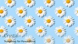  Presentation with blue flower - PPT theme enhanced with flower-seamless-pattern-with-white background and a light blue colored foreground